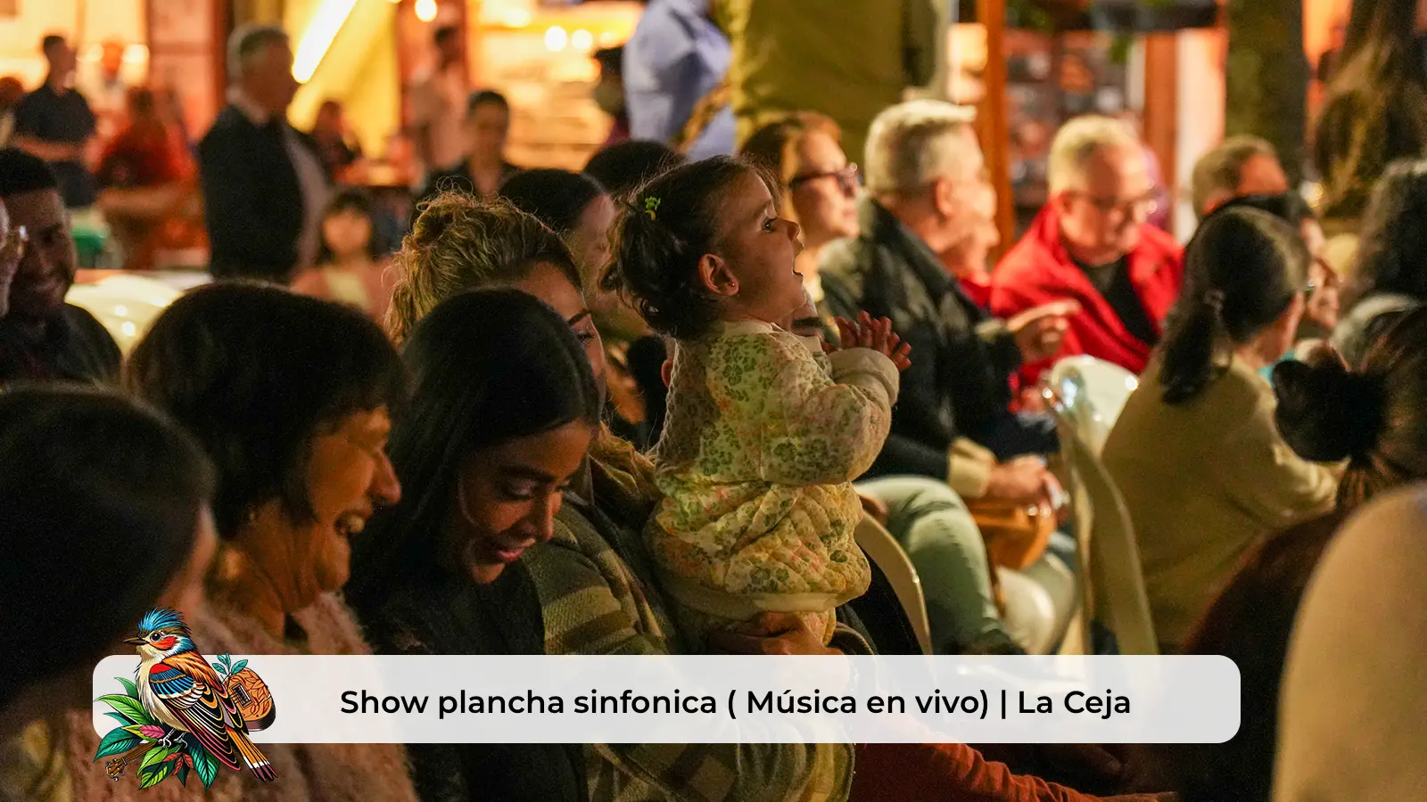 Show plancha sinfonica ( Música en vivo) | La Ceja