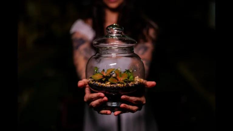 helecho artebotanico 768x432