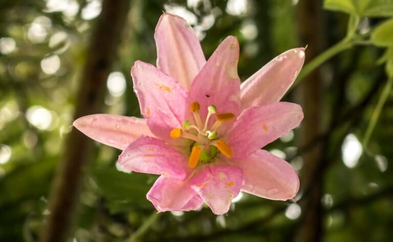 630089714 1655758705391039 1090746395216060004 n 768x473