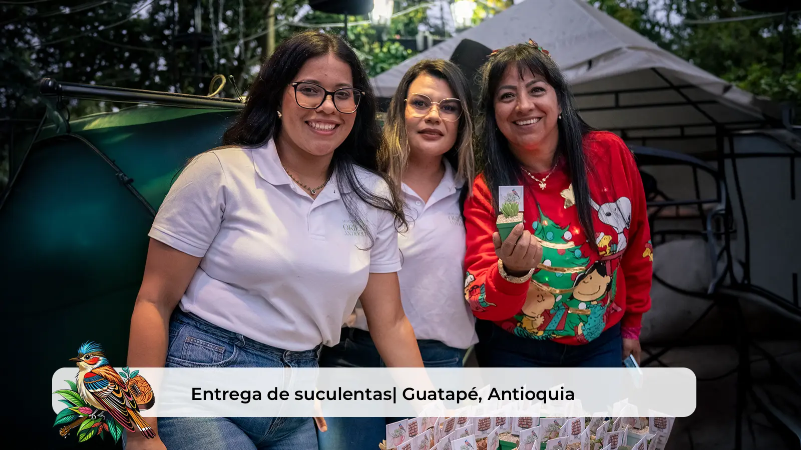 Entrega de Suculentas | Guatapé, Antioquia