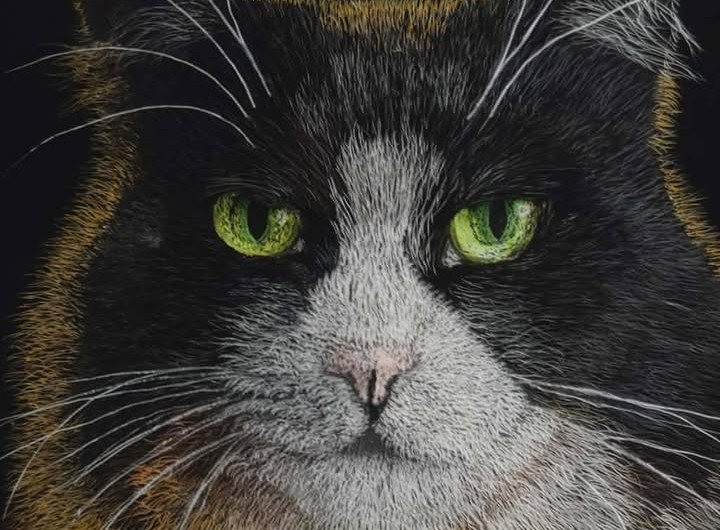 image 1226631339615975