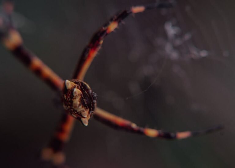 image 3826803624282781 768x549